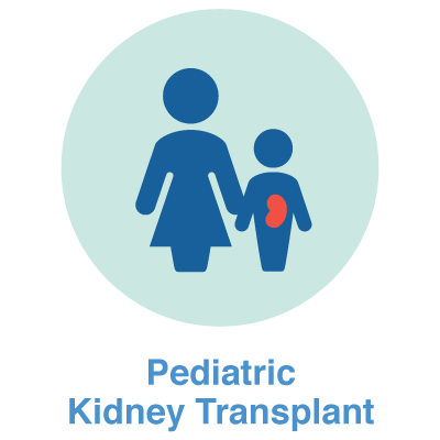 peds kidney transplant